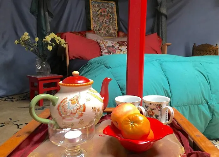 Authentic Mongolian Yurt For A Serene Healing Retreat In Saratoga Springs, New York